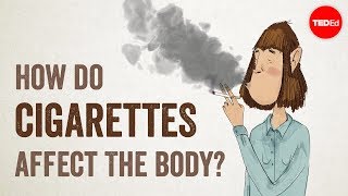 How do cigarettes affect the body  Krishna Sudhir [upl. by Appilihp]