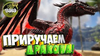 Приручаем Dreadful Dragon  Ark Survival Evolved Gaia 7 [upl. by Goodrow]