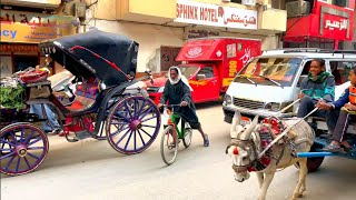 Ancient Egypt in in 2024  Luxor Walking Tour in 4K [upl. by Joon]