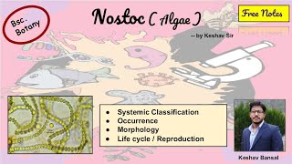 Nostoc  Occurrence  Morphology and life cycle  bsc  Free PDF notes  by Viologia EXtrema [upl. by Cadel]