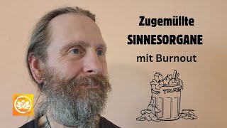 Zugemüllte SINNESORGANE mit Burnout [upl. by Odrawde]