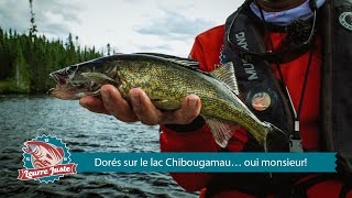 Leurre Juste S06e09  Dorés sur le lac Chibougamau… oui monsieur [upl. by Ahtinak]