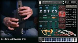 Aerophone AE10 and Flugelhorn sound library for NI Kontakt A lot of articulations Brass nki wav [upl. by Alan316]