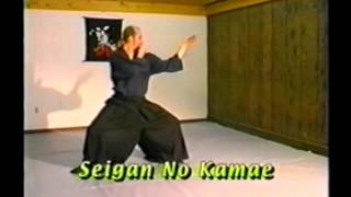 Ninpo Taijutsu Basics [upl. by Ram]