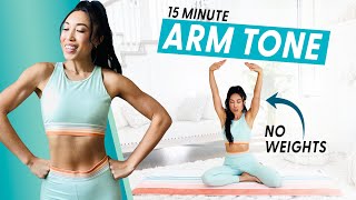 15 Minute Arm Burnout weightless upper body workout [upl. by Curtice]