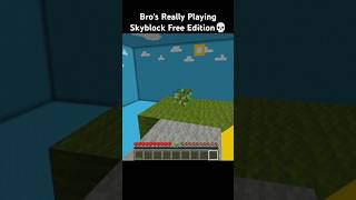 Minecraft Skyblock Free Edition minecraft [upl. by Alicea]