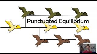 Gradualism vs Punctuated Equilibrium AP Biology Topic 710 [upl. by Takakura]