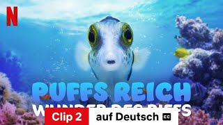 Puffs Reich Wunder des Riffs Clip 2 mit Untertitel  Trailer auf Deutsch  Netflix [upl. by Sholem]