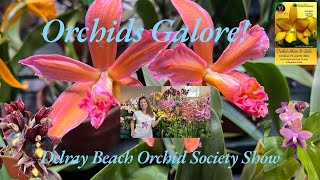 Join us for a stroll through a breathtaking display of orchids at the Delray Beach Orchid Show [upl. by Aldredge762]