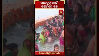 ଭାଇଦୁଜ୍ ପାଇଁ ସଙ୍ଗମରେ ବୁଡ଼ prayagraj holydip sangam bhaiduj shorts [upl. by Llyrehc]