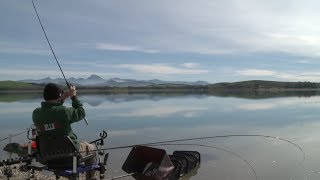 DEMOS PESCA DE CARPAS EN BORNOS [upl. by Nawrocki]