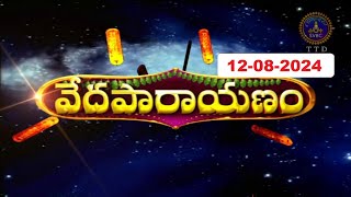 వేదపారాయణం  Vedaparayanam  Tirumala  12082024  SVBC TTD [upl. by Mccallion]