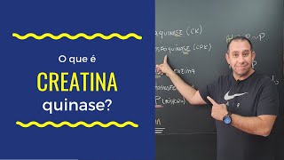 O que é Creatina quinase CK Creatinafosfoquinase CPK [upl. by Amilas]