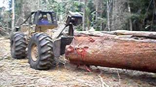 Skidder logging a large tree in a tropical forest rain forest [upl. by Oinotnaesoj]