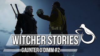 Witcher Stories  Gaunter ODimm Part 22 Witcher Lore [upl. by Fernas]