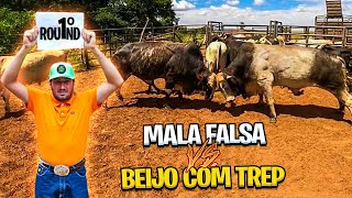 MMA DE BRIGA DE BOI BRAVO  isso sim é peso pesado [upl. by Anaira]