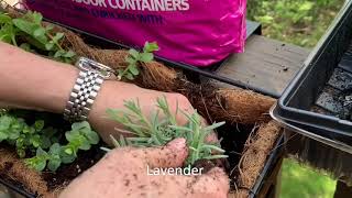 How to Plant a Window Box Herb Garden [upl. by Ardnuyek]