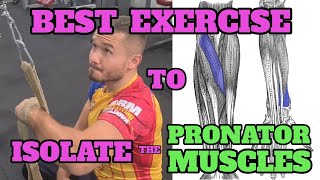 Best Exercise to Isolate the Pronator Muscles [upl. by Julianna335]