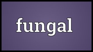 Fungal Meaning [upl. by Htederem]