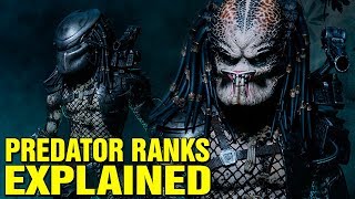 PREDATOR RANK SYSTEM EXPLAINED  YAUTJA SOCIETY AND HIERARCHY [upl. by Eniortna]