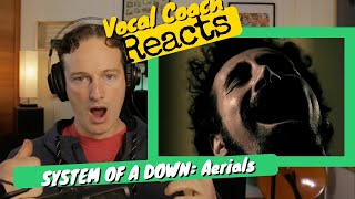 Vocal Coach REACTS  SYSTEM OF A DOWN Aerials Official Video [upl. by Aiepoissac]