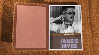 extensive reading james joyce techniques in clay double vision  lexical pattern Ar [upl. by Marbut]