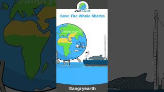 Save The Whale Sharks shorts [upl. by Kessiah]