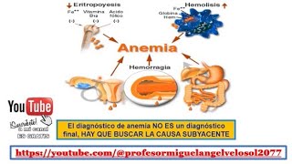 VIDEO DE LA FISIOPATOLOGÍAS DE LAS ANEMIAS [upl. by Foushee]