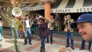 Banda los halcones apoyando a Euardin de mimbres para sus gastos médicos [upl. by Yeo]