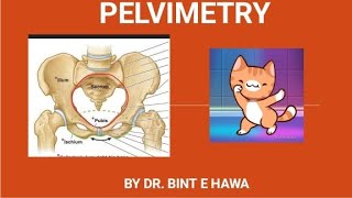 PELVIMETRY with video demonstration Gross anatomy of pelvis Endocrinology module [upl. by Alyt32]