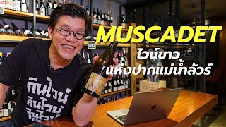 Muscadet ไวน์ขาวแห่งปากแม่น้ำลัวร์  Swirl Experience [upl. by Adnoloy]