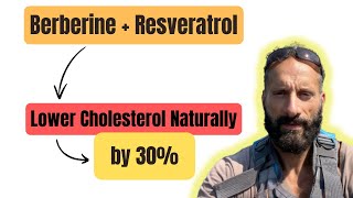 Berberine  Resveratrol vs Statins The Showdown [upl. by Chuck]