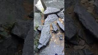 Rock scrambling in the Mohonk Labyrinth [upl. by Liamaj]