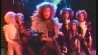 CATS  Rum Tum Tugger Music Video w Dodie Pettit [upl. by Fuller794]