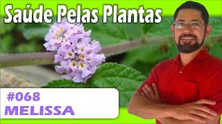 Saúde Pelas Plantas  Melissa calmante rejuvenecedor úlceras catarro cólicas [upl. by Anisamoht113]