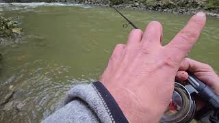 Centerpin reels retrieve faster than any other  Salmon fishing [upl. by Ahsilam]