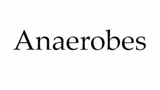 How to Pronounce Anaerobes [upl. by Drawoh]