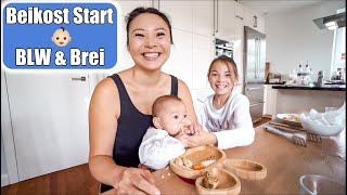 Babys 1 Essen 👶🏻 Beikost Start mit BLW amp Brei Selber kochen  Mama VLOG  Mamiseelen [upl. by Suollecram]