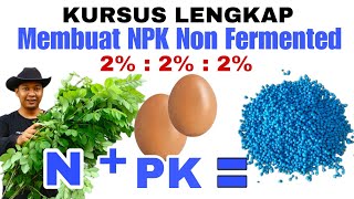 NPK Biru Organik dalam 24 Jam Saja Siapkan Rp5000 untuk Membuatnya [upl. by Dwain]