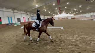 Dressage Video [upl. by Ecyt]