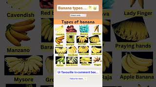 Banana 🍌 types in english  banana english [upl. by Corrie114]