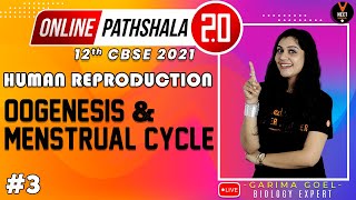 Human Reproduction Class 12 L3  NEET 2021 Preparation  NEET Biology Lecture  Garima Goel [upl. by Lawrence]