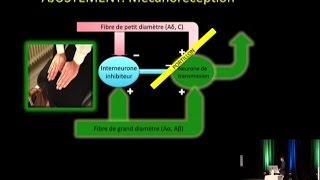 311 La validation de la chiropratique et la théorie du portillon de Melzack et Wall [upl. by Bibi]