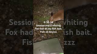 Clacton beach fishing [upl. by Heigho]