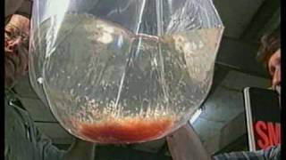 Channel Catfish Spawning and Hatchery Management [upl. by Morgun]