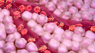 A1C Test for Measuring Blood Sugar Levels [upl. by Durr]