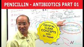 Penicillin  Antibiotics  Dr Najeeb  Part 14 [upl. by Wentworth86]