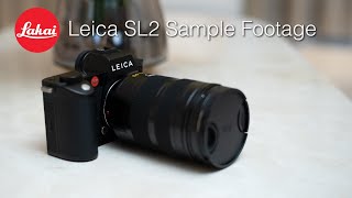 Leica SL2 Sample Footage [upl. by Giark386]