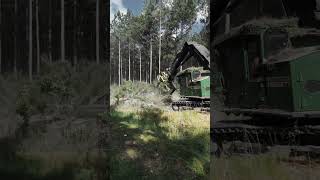 Some Epic Logging Clips [upl. by Proudfoot]