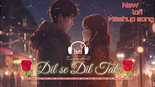 Dil Se Dil Tak  New Hindi mashup song  New mashup song 2024 🌹  music lofi [upl. by Furnary]